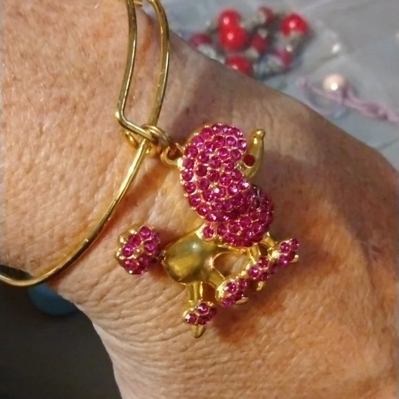 Pink poodle slide charm bracelet NWT (sku 1159) - Picture 3 of 4